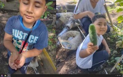 HUERTA ESCOLAR SEDE GABRIEL MONTAÑO