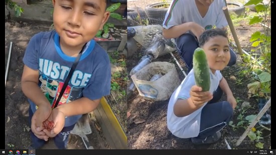 HUERTA ESCOLAR SEDE GABRIEL MONTAÑO